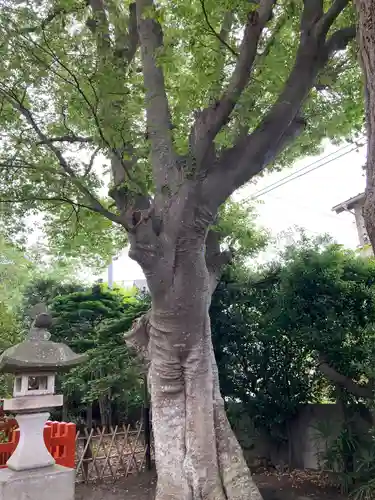 由比若宮（元鶴岡八幡宮）(神奈川県)