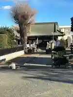 白鬚神社(埼玉県)