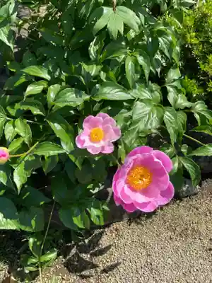 龍源寺(神奈川県)