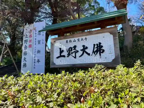 上野大佛(東京都)