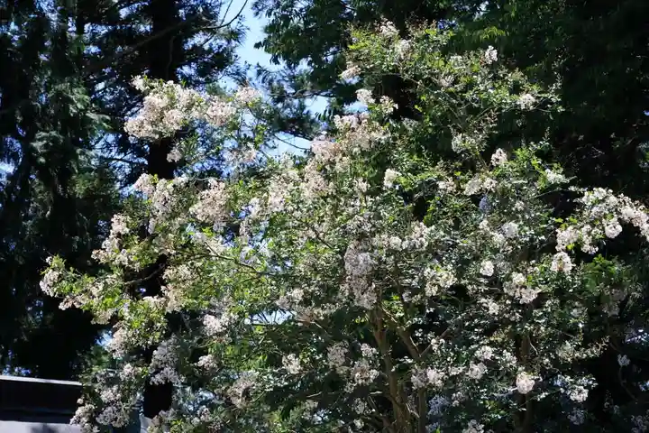 田村神社の自然
