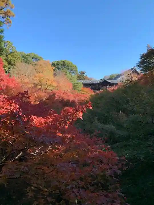 東福禅寺(東福寺)(京都府)