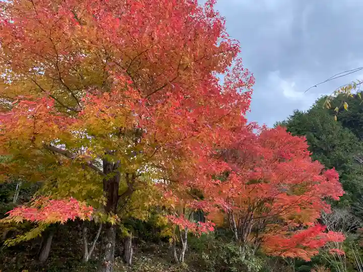 高蔵寺(兵庫県)