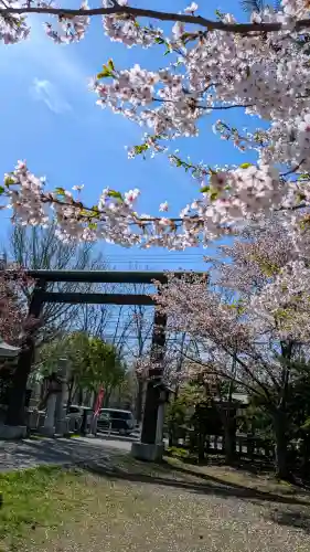 烈々布神社の{uncategorized: "未分類", other: "その他", undefined: "問題あり", building: "その他建物", grave: "お墓", sacred_gate: "鳥居", guardian: "狛犬", statue: "像", buddha: "仏像", history: "歴史", nature: "自然", garden: "庭園", animal: "動物", pagoda: "塔", temizu: "手水舎", mountain_gate: "山門・神門", sanctuary: "本殿・本堂", subordinate: "末社・摂社", art: "芸術", scenery: "景色", jizo: "地蔵", ema: "絵馬", goshuin: "御朱印", omikuji: "おみくじ", items: "授与品その他", amulet: "お守り", goshuincho: "御朱印帳", eats: "食事", festival: "お祭り", votive_dance: "神楽", shichigosan: "七五三参", wedding: "結婚式", experience: "体験その他", initially: "初詣", around: "周辺", anti_infection: "感染症対策"}