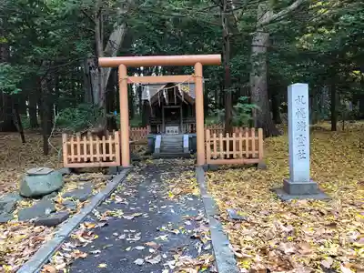 北海道神宮の鳥居