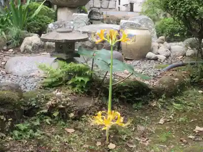 妙高院(神奈川県)