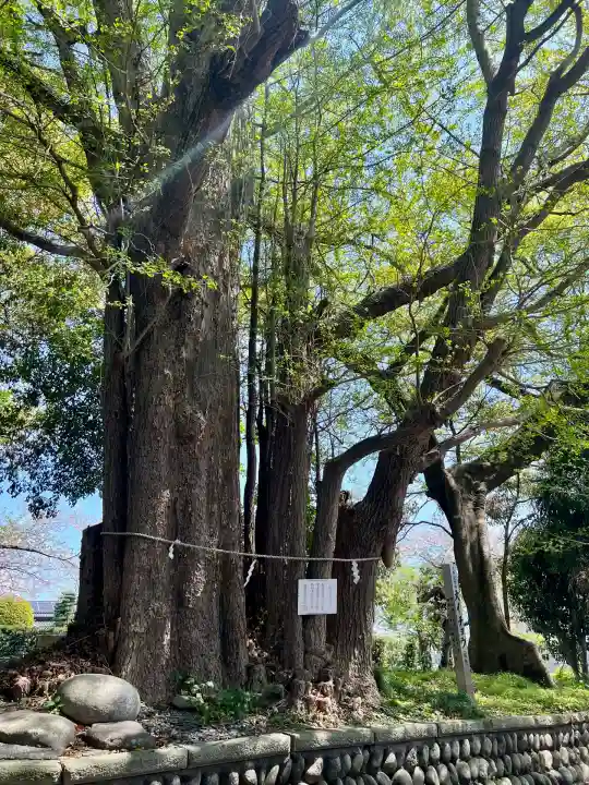 豊積神社(静岡県)