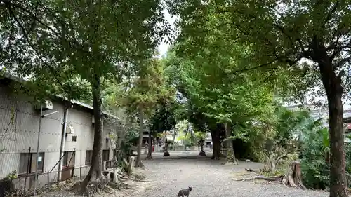 飛鳥田神社(京都府)