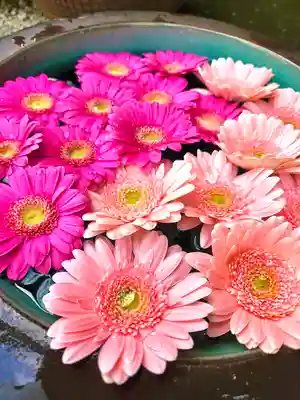 上尾御嶽神社の手水舎