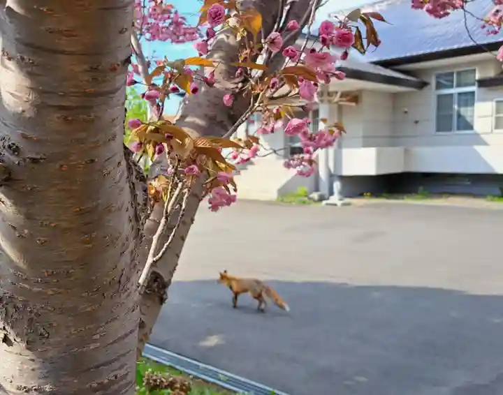 極楽山 浄土寺(北海道)