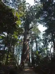 麻賀多神社の自然