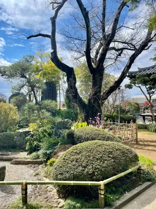 法真寺の{uncategorized: "未分類", other: "その他", undefined: "問題あり", building: "その他建物", grave: "お墓", sacred_gate: "鳥居", guardian: "狛犬", statue: "像", buddha: "仏像", history: "歴史", nature: "自然", garden: "庭園", animal: "動物", pagoda: "塔", temizu: "手水舎", mountain_gate: "山門・神門", sanctuary: "本殿・本堂", subordinate: "末社・摂社", art: "芸術", scenery: "景色", jizo: "地蔵", ema: "絵馬", goshuin: "御朱印", omikuji: "おみくじ", items: "授与品その他", amulet: "お守り", goshuincho: "御朱印帳", eats: "食事", festival: "お祭り", votive_dance: "神楽", shichigosan: "七五三参", wedding: "結婚式", experience: "体験その他", initially: "初詣", around: "周辺", anti_infection: "感染症対策"}