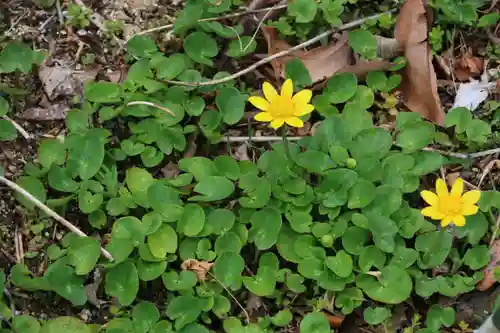 三春大神宮の自然