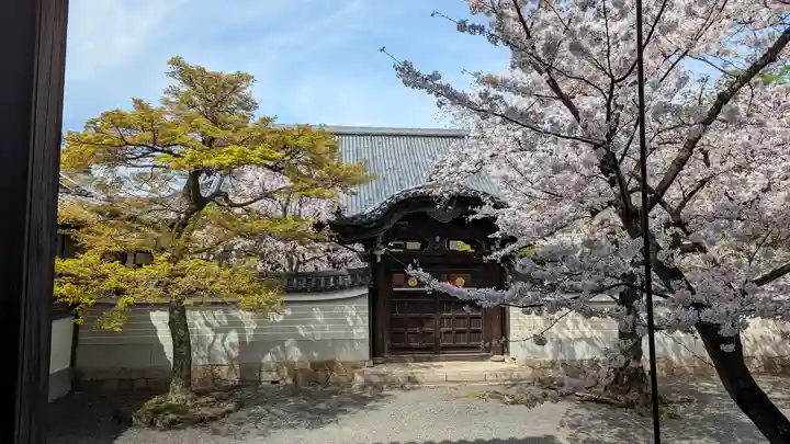妙顯寺(妙顕寺)(京都府)