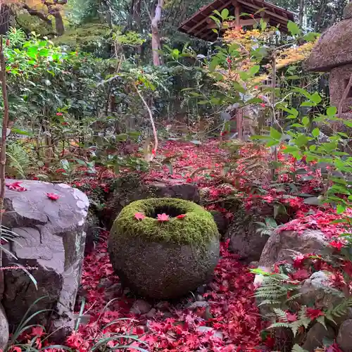 厭離庵(京都府)