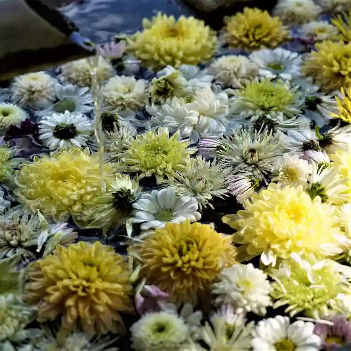 岳温泉神社 (福島県)