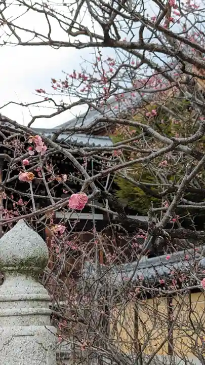 くろ谷 金戒光明寺(京都府)