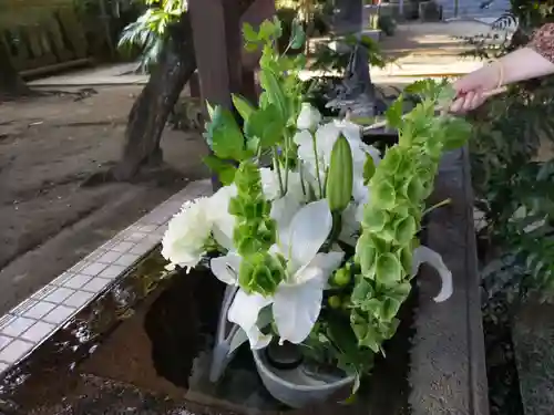 柏諏訪神社の手水舎