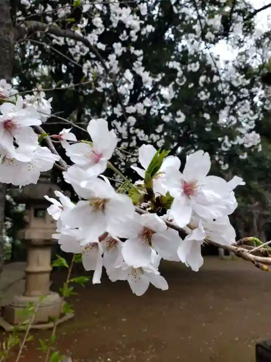 赤坂氷川神社(東京都)