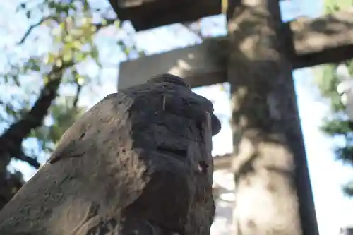 秋葉神社の狛犬