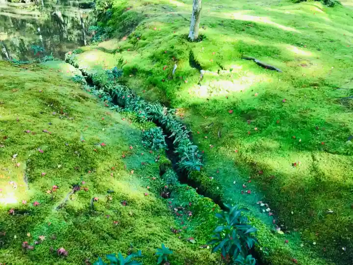西芳寺の{uncategorized: "未分類", other: "その他", undefined: "問題あり", building: "その他建物", grave: "お墓", sacred_gate: "鳥居", guardian: "狛犬", statue: "像", buddha: "仏像", history: "歴史", nature: "自然", garden: "庭園", animal: "動物", pagoda: "塔", temizu: "手水舎", mountain_gate: "山門・神門", sanctuary: "本殿・本堂", subordinate: "末社・摂社", art: "芸術", scenery: "景色", jizo: "地蔵", ema: "絵馬", goshuin: "御朱印", omikuji: "おみくじ", items: "授与品その他", amulet: "お守り", goshuincho: "御朱印帳", eats: "食事", festival: "お祭り", votive_dance: "神楽", shichigosan: "七五三参", wedding: "結婚式", experience: "体験その他", initially: "初詣", around: "周辺", anti_infection: "感染症対策"}