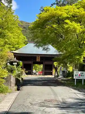 普門寺(切り絵御朱印発祥の寺)の山門・神門