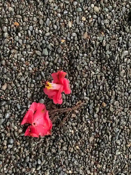 伊雜宮(皇大神宮別宮)の自然