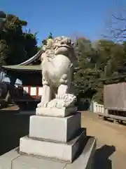 赤羽八幡神社の狛犬