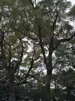 成石神社(愛知県)