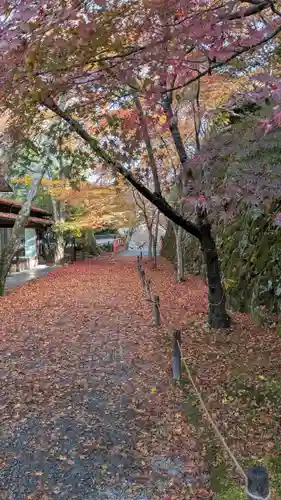 三千院門跡(京都府)