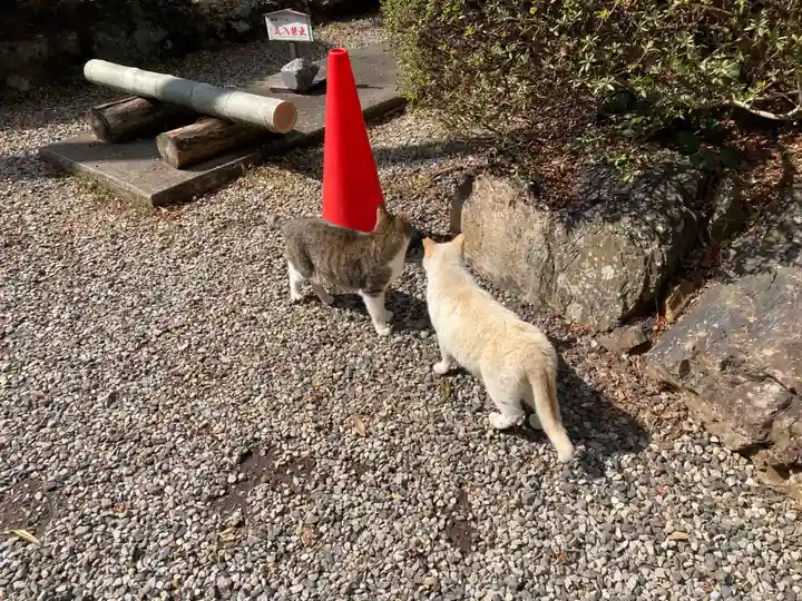 唐澤山神社(栃木県)