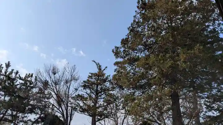 成田山大照寺の自然