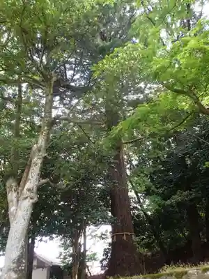 潮津神社の自然