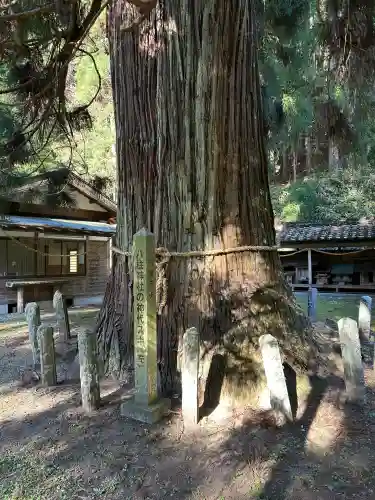 八柱神社(長野県)