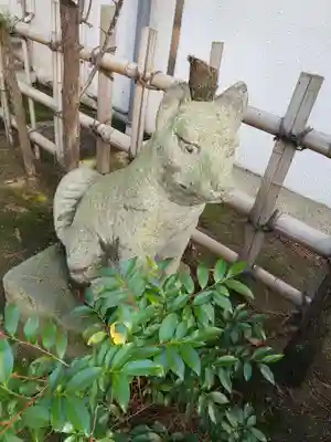 菟橋神社の狛犬