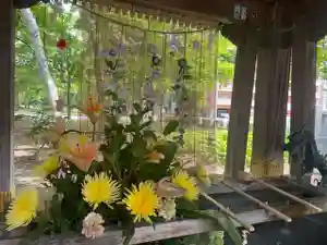 彌彦神社 (伊夜日子神社)の手水舎 2024年06月21日(金)〜(2024年06月21日(金) 09時22分16秒投稿)