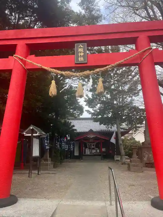 八坂神社の{uncategorized: "未分類", other: "その他", undefined: "問題あり", building: "その他建物", grave: "お墓", sacred_gate: "鳥居", guardian: "狛犬", statue: "像", buddha: "仏像", history: "歴史", nature: "自然", garden: "庭園", animal: "動物", pagoda: "塔", temizu: "手水舎", mountain_gate: "山門・神門", sanctuary: "本殿・本堂", subordinate: "末社・摂社", art: "芸術", scenery: "景色", jizo: "地蔵", ema: "絵馬", goshuin: "御朱印", omikuji: "おみくじ", items: "授与品その他", amulet: "お守り", goshuincho: "御朱印帳", eats: "食事", festival: "お祭り", votive_dance: "神楽", shichigosan: "七五三参", wedding: "結婚式", experience: "体験その他", initially: "初詣", around: "周辺", anti_infection: "感染症対策"}
