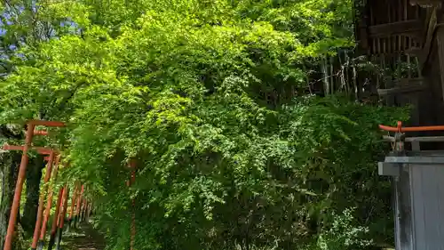 湘山稲荷大明神の自然