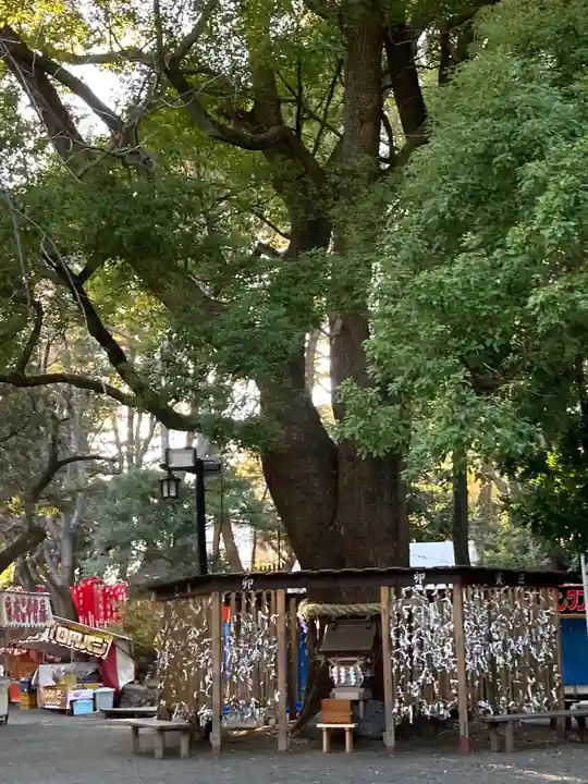 平塚八幡宮(神奈川県)