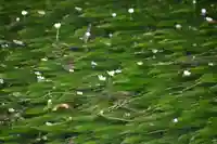 醒井延命地蔵尊(滋賀県)