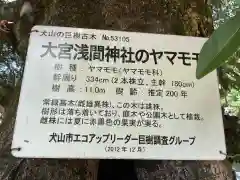 尾張冨士大宮浅間神社(愛知県)