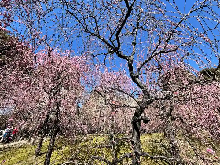 城南宮(京都府)