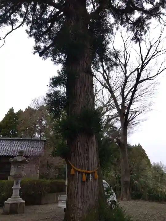 神明社(石川県)