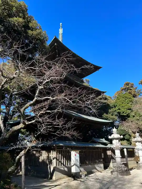 椎尾山薬王院(茨城県)