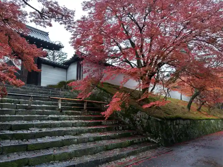曼殊院門跡の自然