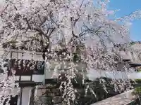 長谷寺の{uncategorized: "未分類", other: "その他", undefined: "問題あり", building: "その他建物", grave: "お墓", sacred_gate: "鳥居", guardian: "狛犬", statue: "像", buddha: "仏像", history: "歴史", nature: "自然", garden: "庭園", animal: "動物", pagoda: "塔", temizu: "手水舎", mountain_gate: "山門・神門", sanctuary: "本殿・本堂", subordinate: "末社・摂社", art: "芸術", scenery: "景色", jizo: "地蔵", ema: "絵馬", goshuin: "御朱印", omikuji: "おみくじ", items: "授与品その他", amulet: "お守り", goshuincho: "御朱印帳", eats: "食事", festival: "お祭り", votive_dance: "神楽", shichigosan: "七五三参", wedding: "結婚式", experience: "体験その他", initially: "初詣", around: "周辺", anti_infection: "感染症対策"}