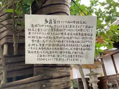 光明院(千葉県)