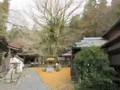 正法寺(滋賀県)