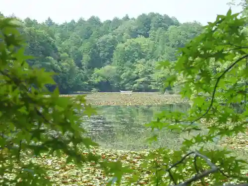 八幡神社(滋賀県)