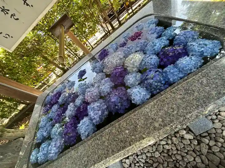 桜神宮(東京都)